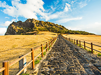 Dolharubang auf Jeju-Insel