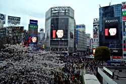 Shibuya Crossing ist durchaus einer der bekanntesten Flecken Tokyos. berühmte Straßenkreuzung in Shibuya