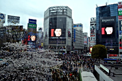 berühmte Straßenkreuzung in Shibuya